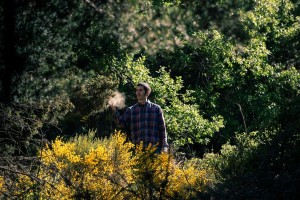 Arnau Obiols I Trad d'autor I Tradicionà rius 36